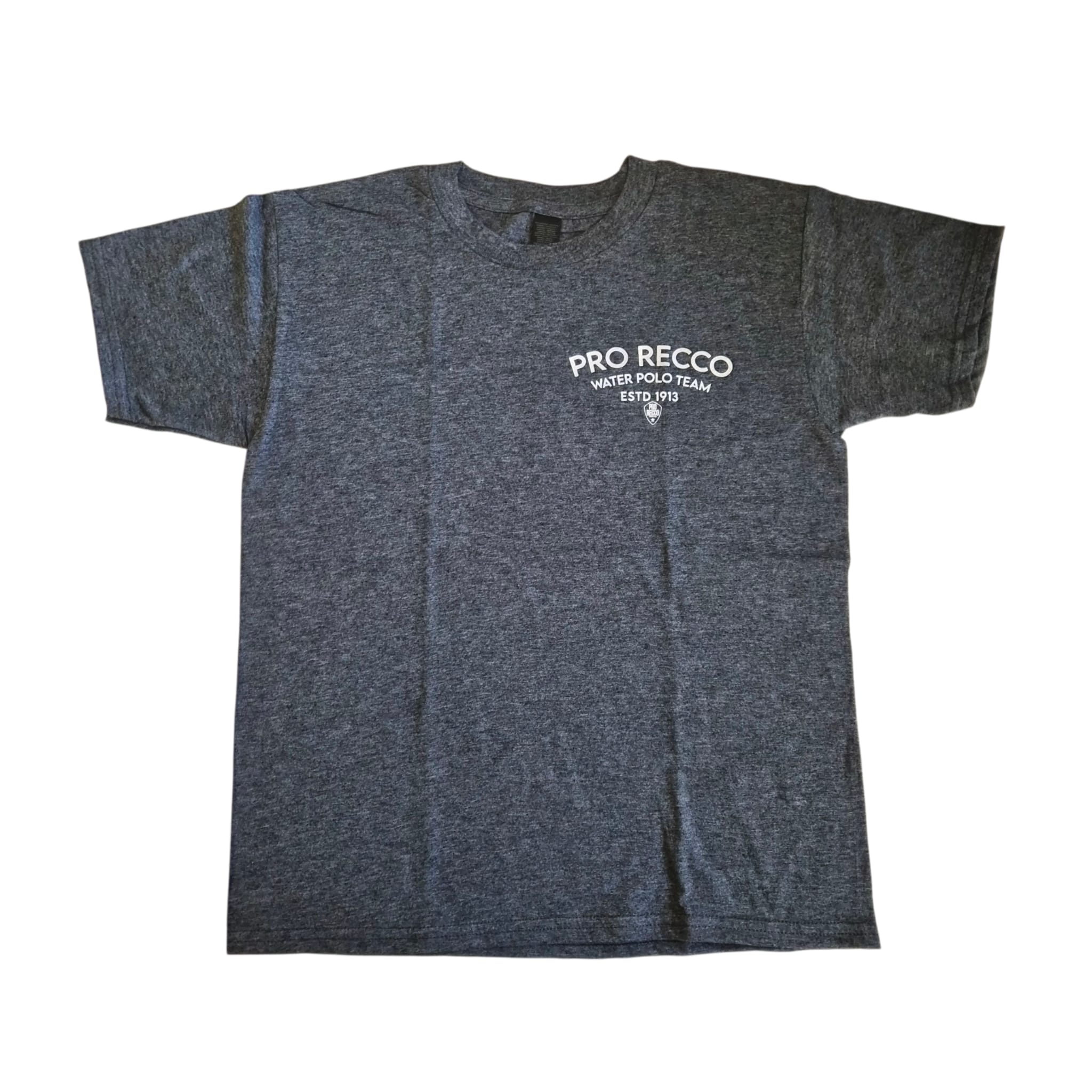 Volcano Gray Kids 2025 T-shirt