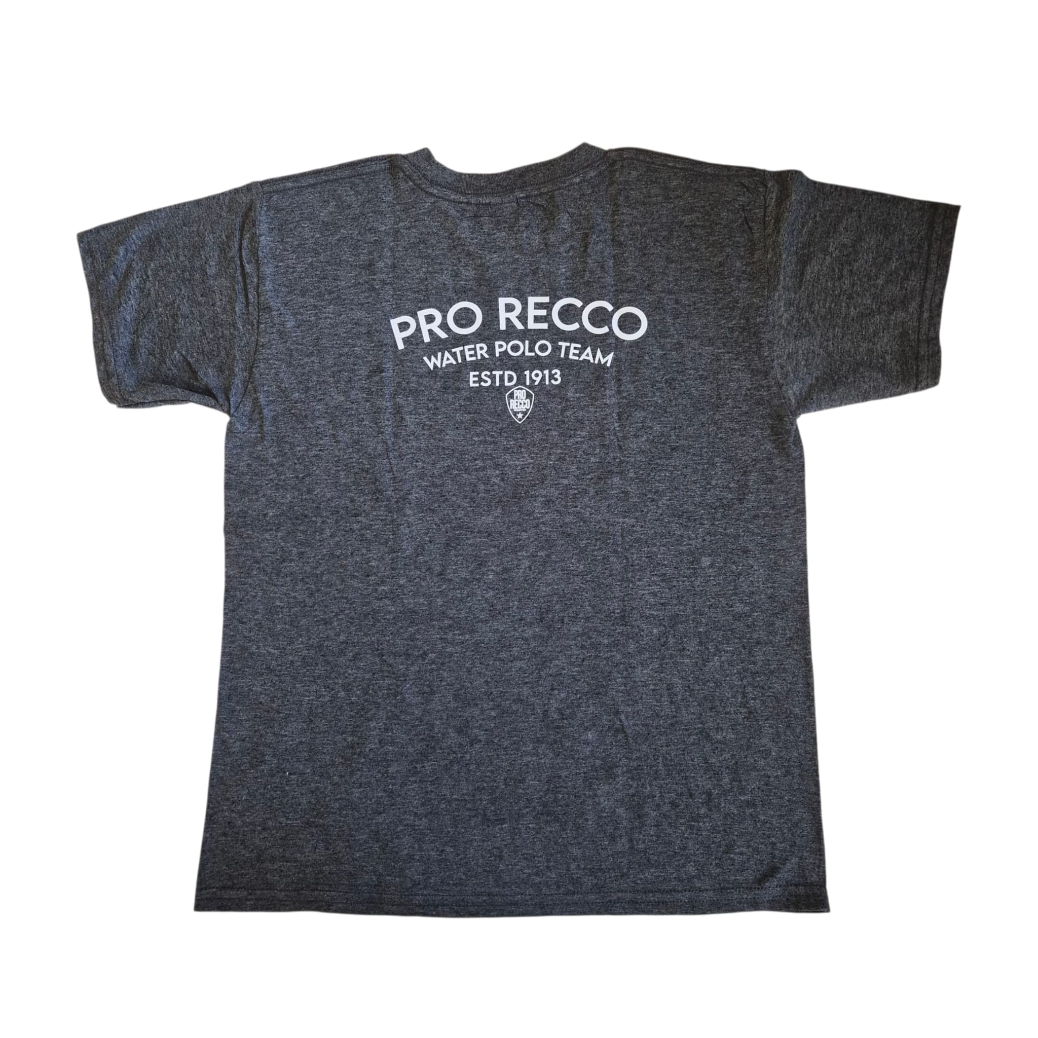 Volcano Gray Kids 2025 T-shirt