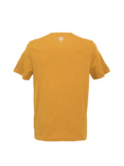 T-shirt Mustard Stripes 2024 - ProReccoStore